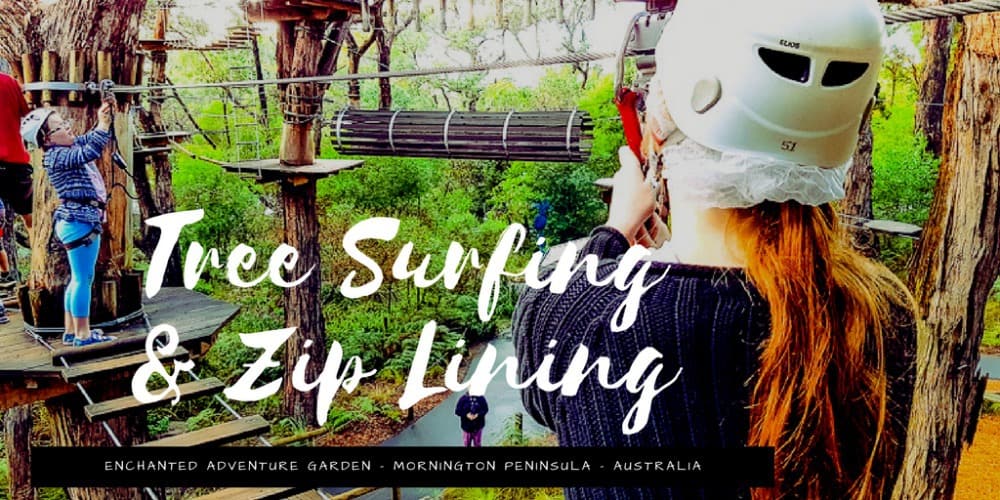 Tree Surfing Mornington Peninsula Australia Wyld Family Travel