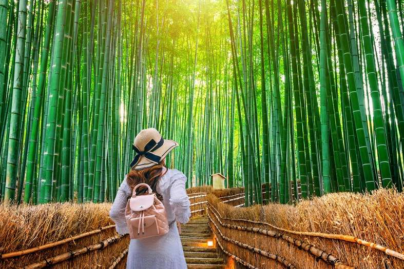 a teenage girl walking through a bamboo forest in Kyoto japan