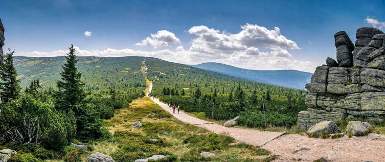 Summer in Poland can be glorious. Here there is a bright blue sky with large fluffy white clouds in the distance. You can also see a rock formation to the right of the picture with a dirt road leading off into the distance through lush pine trees