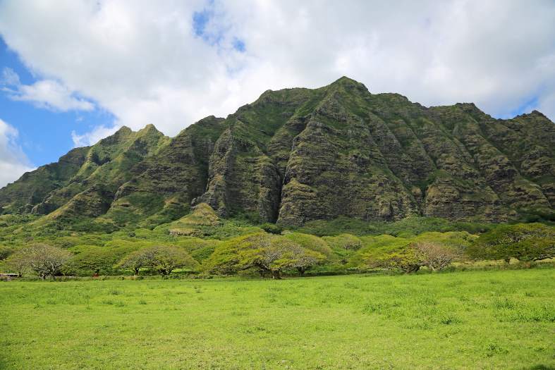 Green hills and paddocks where Jurassic Park was filmed